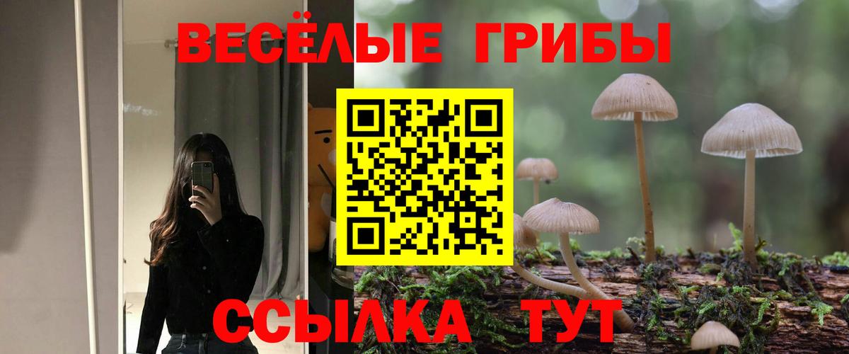 Галлюциногенные грибы мицелий  Вход с VPN  Кумертау 